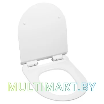 Сиденье для унитаза AV Engineering Comfort AVWHR203C